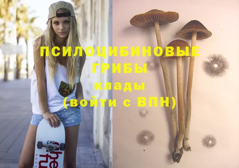 Псилоцибиновые грибы Magic Shrooms  Артёмовский 